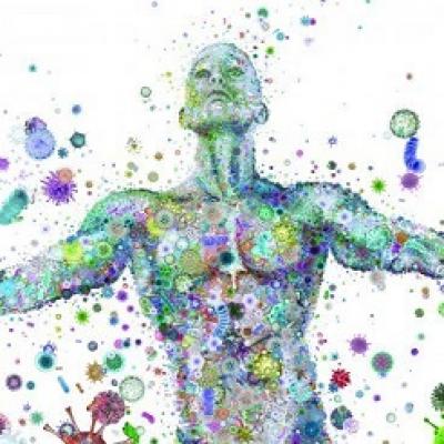 Hệ vi sinh vật ảnh hưởng thế nào tới sức khỏe con người