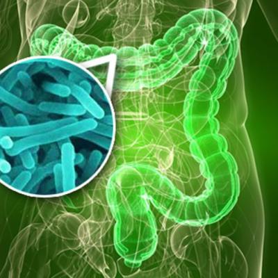 Vai trò của hệ tạp khuẩn trong điều trị ung thư