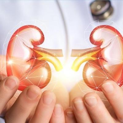 Nâng cao sức khỏe của thận với những thực phẩm sau