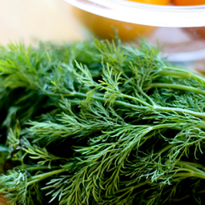 Thìa là và 5 lợi ích về sức khỏe