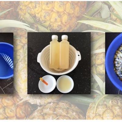Tự làm nước tẩy rửa từ vỏ dứa - Bảo vệ hệ vi sinh vật của bạn